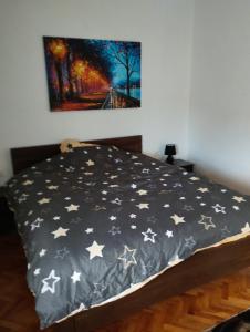 a bedroom with a bed covered in stars at Vila Mihajlovic in Brus