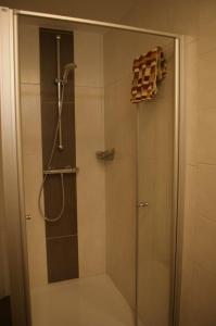 een douche met een glazen deur in de badkamer bij Ferienwohnungen Hollerberg Wohnung 2 in Regen