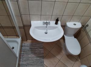 uma casa de banho com um lavatório e um WC em Gospodarstwo Agroturystyczne w Łoskoniu Starym 