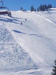 Dos personas esquiando por una pista de esquí cubierta de nieve en Apartman 151 U u Aparthotelu Vučko Jahorina - private host, en Jahorina