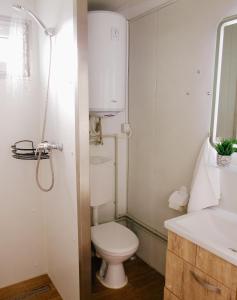 een badkamer met een toilet en een wastafel bij Greta Hillside 
