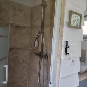 een douche met een glazen deur in de badkamer bij Pascal et Domi "l'oasis des pins" in Saint-Biez-en-Belin