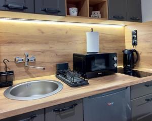 Kuchyňa alebo kuchynka v ubytovaní Regulus apartment Brzeće Kopaonik