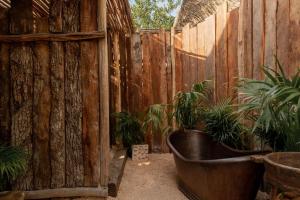 Fotografie z fotogalerie ubytování Nomade Holbox v destinaci Ostrov Holbox