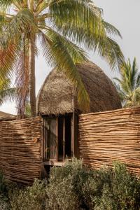 Fotografie z fotogalerie ubytování Nomade Holbox v destinaci Ostrov Holbox + 11 fotografií