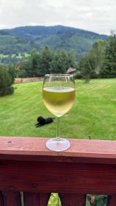 ein Glas Weißwein auf einer Holzschiene in der Unterkunft Wichrowe Wzgórze 4 in Rajcza