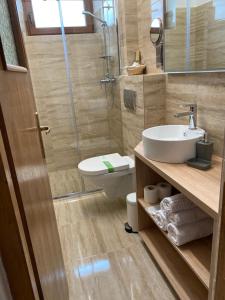 a bathroom with a sink and a toilet and a shower at Vila Bellestay in Braşov +41 photos