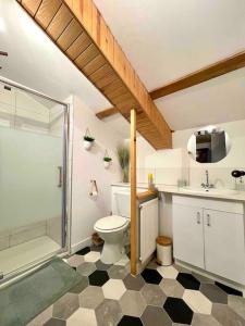 uma casa de banho com um chuveiro, um WC e um lavatório. em La Casa Del Papa - Maison spacieuse avec jardin em Dole