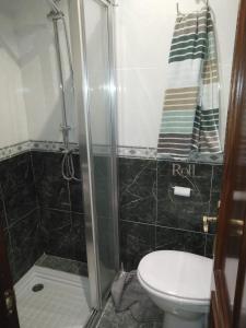 uma casa de banho com um WC e uma cabina de duche em vidro. em Cimadevilla Apartamento San Pedro em Gijón