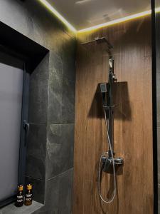 a shower in a bathroom with a wooden wall at Котедж Stodola Slavsko in Slavske
