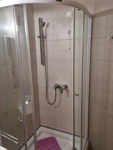 una ducha en un baño con puerta de cristal en Apartman 151 U u Aparthotelu Vučko Jahorina - private host, en Jahorina