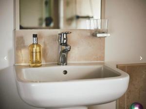 a bathroom sink with a soap dispenser on it at Dragonfly Cottage, Canal location in Brecon +23 photos