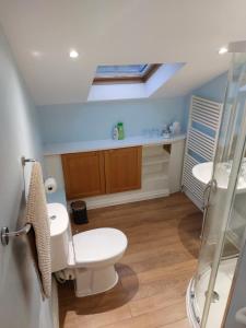 a bathroom with a toilet and a sink at Thorndene B&B in Hope