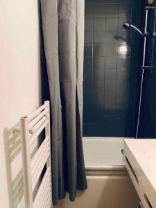 a shower curtain in a bathroom with a mirror at Appartement au pied des pistes in Châtel