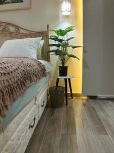 a bedroom with a bed and a potted plant at New furnished apartment in Cairo