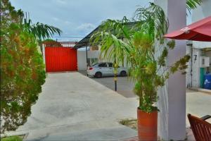 a palm tree in a pot next to a parking lot at Hotel Calle Real Inn in Aguachica