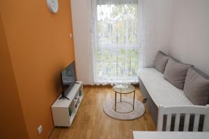a living room with a couch and a tv at Apartman Solunska 18 Banja Luka in Banja Luka