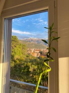 een raam met uitzicht op een berg bij Sunny apartment in Tivat in Tivat