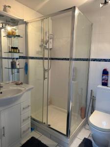 a bathroom with a shower with a sink and a toilet at Amazing Gantshill Studio Annexe & Free Parking in Redbridge