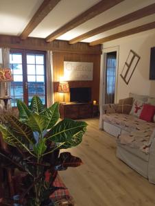 uma sala de estar com um sofá e uma televisão em Cozy apartment in the heart of the Alps em Château-d'Oex