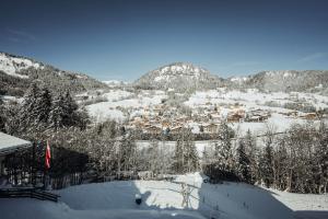 a town covered in snow with mountains in the background at Nards furnished chalet in Praz-sur-Arly