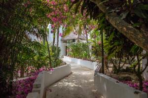 a garden with pink flowers and a white building at Beachfront Hammock Heaven in Akumal