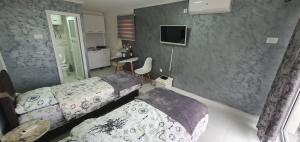 a bedroom with two beds and a television in it at Cozzy apartment near the Aiport Podgorica in Podgorica
