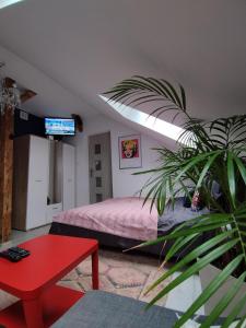 ein Schlafzimmer mit einem Bett und einer Topfpflanze in der Unterkunft Ropienka ski micro in Wańkowa