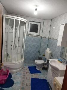 a bathroom with a shower and a toilet and a sink at Apartman Leki in Sarajevo