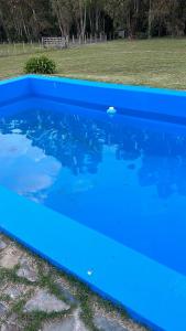 ein großer blauer Pool im Hof in der Unterkunft Las Marias in Tandil