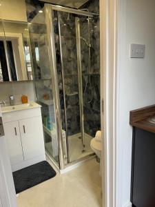 a bathroom with a shower with a toilet and a sink at Bespoke Gallery guesthouse in Hendon