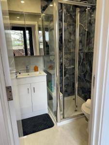 a bathroom with a shower and a sink and a toilet at Bespoke Gallery guesthouse in Hendon