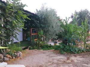 uma casa com um jardim em frente em Apartamento T1 Retiro dos Sonhos em Fontes da Matosa