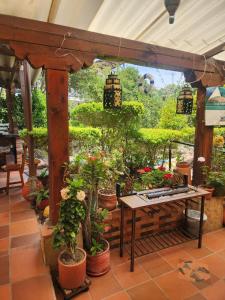 een tuinkamer met een tafel en potplanten bij Villa Carlinita in Sáchica