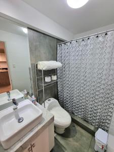 a bathroom with a sink and a toilet and a shower at Hermoso y céntrico 1BR en Barranco con cochera wifi y netflix in Lima