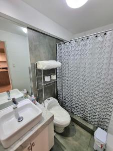 a bathroom with a sink and a toilet and a shower at Hermoso y céntrico 1BR en Barranco con cochera wifi y netflix in Lima +5 photos