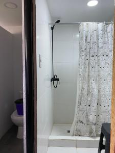 a bathroom with a shower curtain and a toilet at Zonda hostel cultural in Lago Puelo