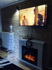 Una televisión o centro de entretenimiento en Alpin Apartments Vlašić