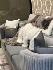 Fotografie z fotogalerie ubytování sea esta v destinaci Mount Lavinia