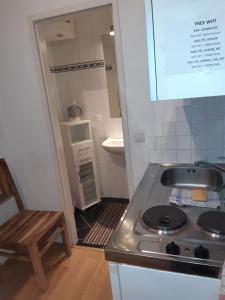 a small kitchen with a stove and a sink at Apartment Dahlia Vienna in Vienna