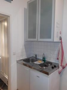 a kitchen with a sink and a counter top at Apartment Dahlia Vienna in Vienna +27 photos
