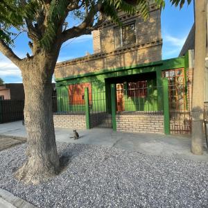 a cat sitting next to a green building with a tree at Ruca Epu in Las Grutas