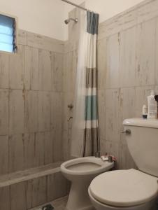 y baño con aseo y cortina de ducha. en Ortiz en Buenos Aires