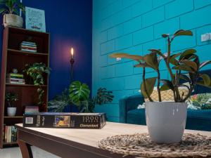 聖何塞的住宿－Lolas Hostal Apartamento Equipado，一张桌子,上面有盆栽植物和一本书