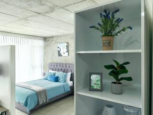 1 dormitorio con 1 cama y una planta en un estante en 0404 iFreses estudio con Aire Acondicionado y Parqueo, en Curridabat