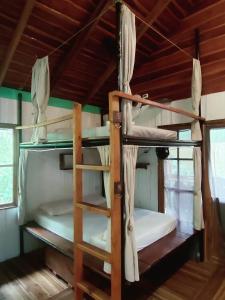 2 stapelbedden in een kamer met een houten plafond bij Salty Enthusiasts Share House & Villas in Santa Teresa Beach