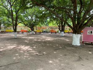 a group of benches and trees in a park at Hotel Tamarindos in Zihuatanejo