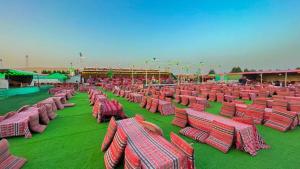 Luxury Overnight stay in Desert Safari Campsite, with dinner, adventure, entertainments, and transfers في دبي: مجموعة من الكراسي الحمراء على العشب