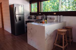 a kitchen with a stainless steel refrigerator and a counter at Miles Away in Cóbano