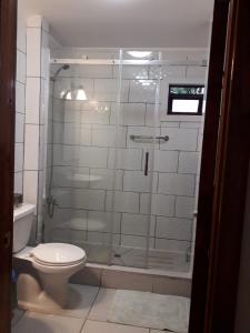 een badkamer met een toilet en een glazen douche bij Cabañas OtilNau in Puerto Natales